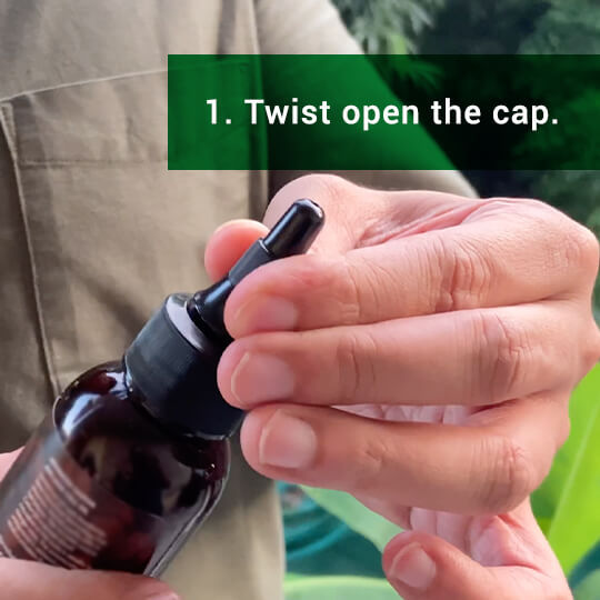 Bombay%20Shaving%20Company%20Anti%20Hair%20Fall%20Oil%20with%20Castor%20and%20Root%20Biotech%20Technology-%20Reduces%20Hair%20Fall%20in%208%20Weeks%20(100%20ml)%20-%20Image%206