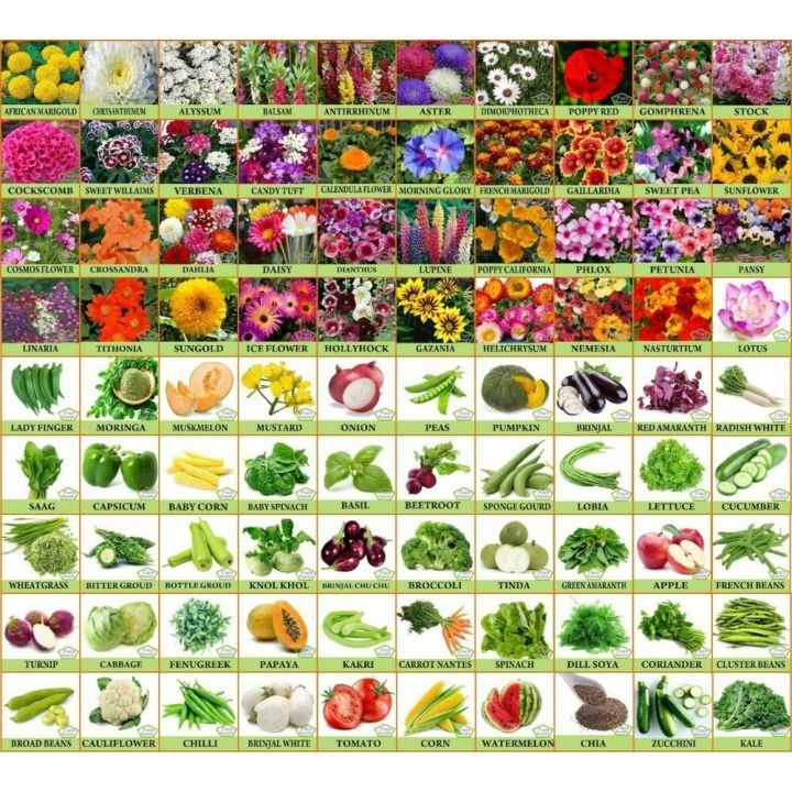 Mix Max 50 Types Of Combo Seeds Offer (Mix Seeds Of Flowers And Vegetable Seeds) - Best For Small Garden And Kausikheti मिक्स माक्स अफर  सस्तो मा कौसी खेतिलाई मात्र