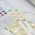 in Vitro Urine Testing 4 Test Items: Glucose, PH, Protein, Ketone Body Urine Specimen Test Strip Professional Test Paper. 