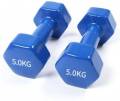 5 kg Filled Dumbbells set of 2 PC Fixed Weight Dumbbell (5Kg x 5Kg) Fixed Weight Dumbbell  (10 kg). 