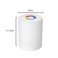 LED Touch Control Induction Dimmer Lamp Smart Dimmable RGB Color Change Rechargeable Bedside Night Light. 