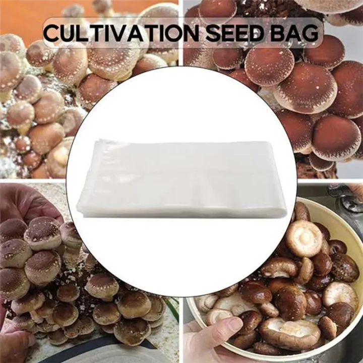 50%20Count%20Mushroom%20Bags/Mushroom%20Growing%20Bags%202.5%20Polypropylene%20Farm-Mushroom%20Spawn%20-%20Image%206