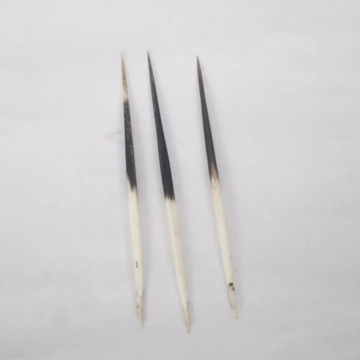 Dumsiko%20Kada%203%20Pcs%20Set%20%7C%20Dumsi's%20Thorn%20%7C%20for%20Bratabandha%20%7C%20Puja%20Saman%20-%20Image%204