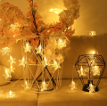 20L+20L Photo Star Clip Lights LED Photo Hanging Light Star Shape Decoration. 