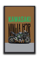 Kawasaki Ninja H2R Superbike Wall Art Frame| One Piece Frame. 
