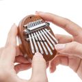 Difutagui Zheng Set Gift Portable Musical Instrument Drop Bag Thumb Kalimba 2025 New Sales promotion Mini 8 Key Piano 1 Style Cute and Beautiful Kids. 