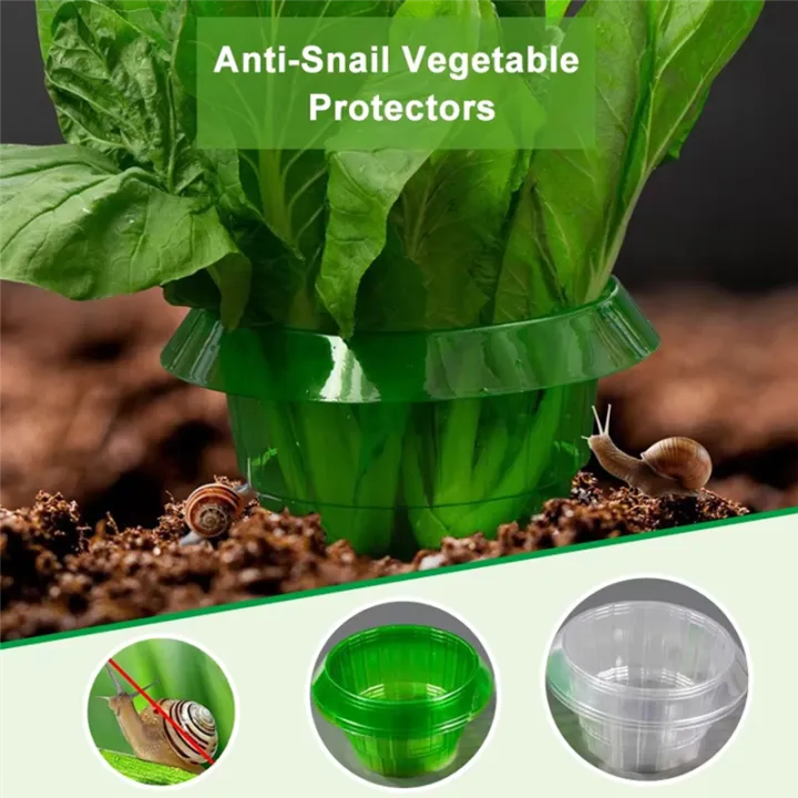 Plant%20Protection%20Rings%20Snail%20Collars%20Stop,%20Eco-Friendly%20Garden%20Solution%20for%20Healthy%20Plants%20-%20Image%204