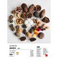 Wood Chips DIY Flower Kit Chenmai Fruit Shell Material Taibao Acorn Dried Handmade Photo Frame Plant Specimen Pine Cone. 