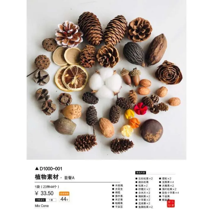 Wood%20Chips%20DIY%20Flower%20Kit%20Chenmai%20Fruit%20Shell%20Material%20Taibao%20Acorn%20Dried%20Handmade%20Photo%20Frame%20Plant%20Specimen%20Pine%20Cone%20-%20Image%206