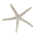 Resin Handicraft Aquarium Landscaping Fish Tank Figurines Vivid Color Aquarium Figurines Miniature Ornaments Artificial Coral Starfish Aquarium Decor. 