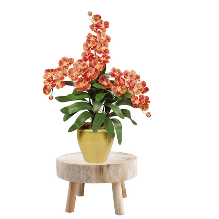 NXFDSIOZ%202X%20Mini%20Wooden%20Stool%20Display%20Plant%20Stand%20Decorative%20Wood%20Plant%20Stool%20Bonsai%20Holder%20for%20Indoor%20Outdoor%20Home%20Garden%20M%20-%20Image%203