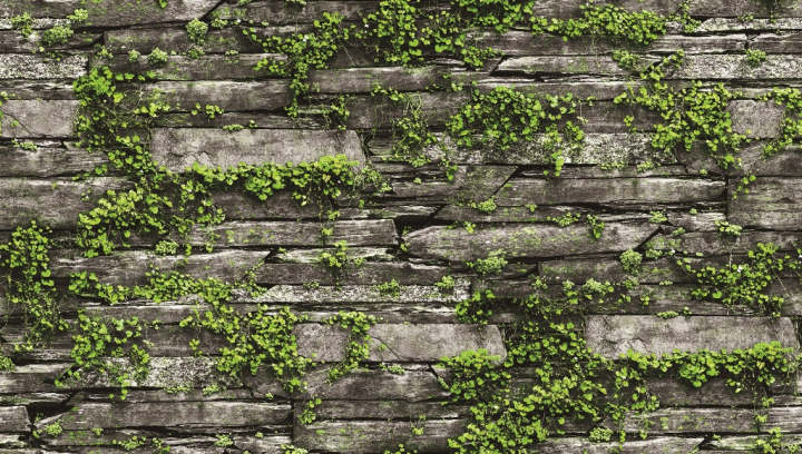 Living Room Wallpaper