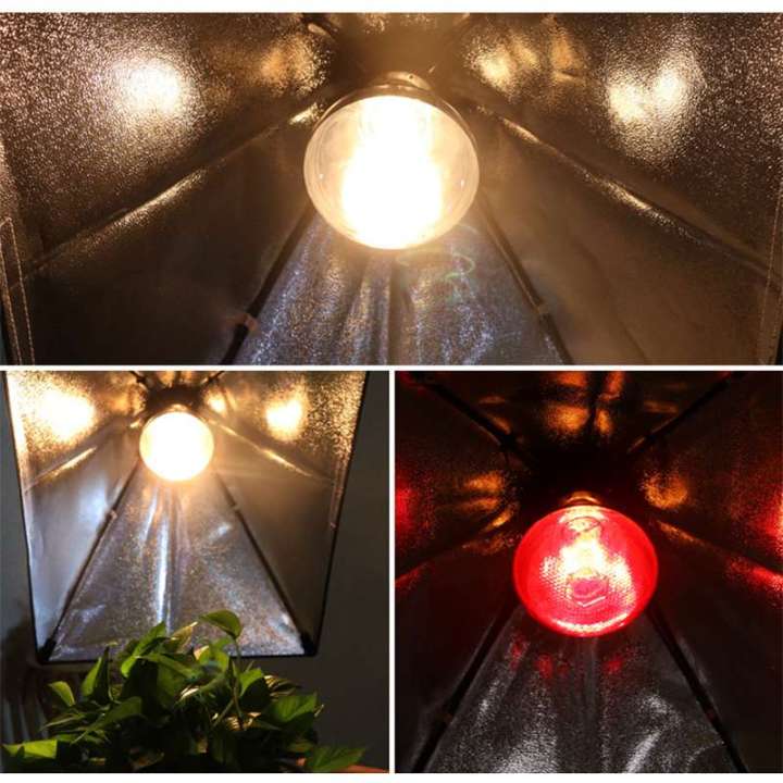 Infrared%20Heating%20Lamp%20Breeding%20Bulb%20With%20Free%20Heavy%20Duty%20Pendent%20Holder,%20200W/250W%20Pet%20Brooder%20Hatch%20Chicken,%20Animals%20Infrared%20Lamp%20By%20Bijulipasal%20-%20Image%204