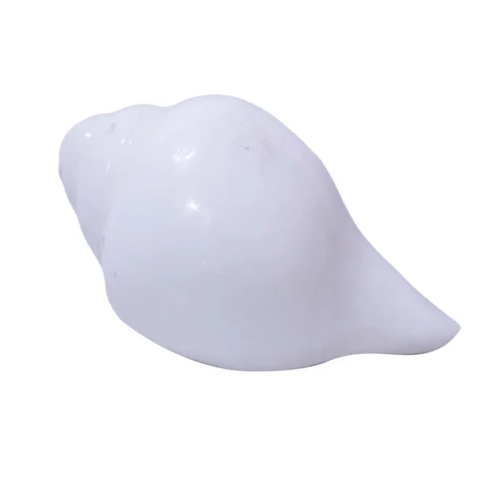 Puja%20Shankha%20Small%20Size%20-%20Image%203