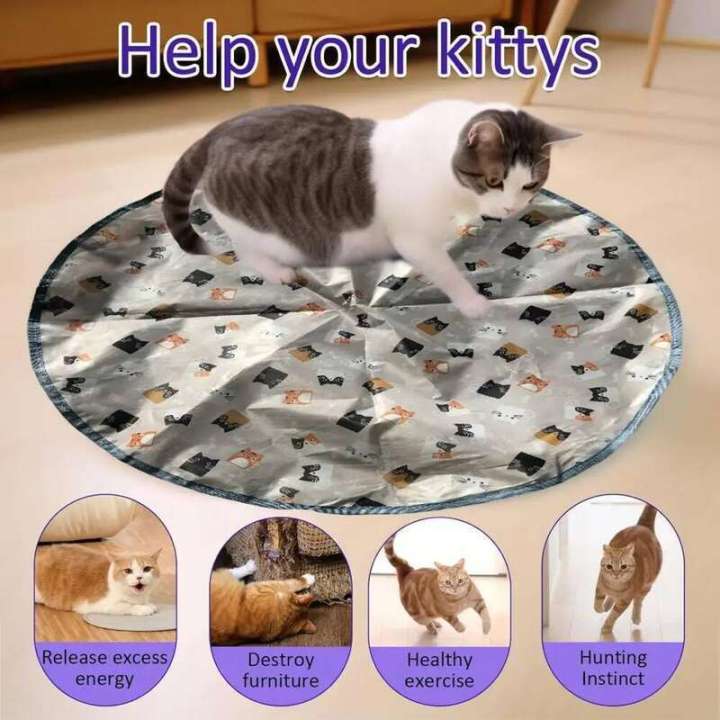 Hunting%20Cover%20Cat%20Toys,Hide%20and%20Seek%20Kitten%20Toy,%20Interactive%20Motion%20Activated,Cat%20Exercise%20Toy,for%20Indoor%20Cats/Kitty%20-%20Image%204