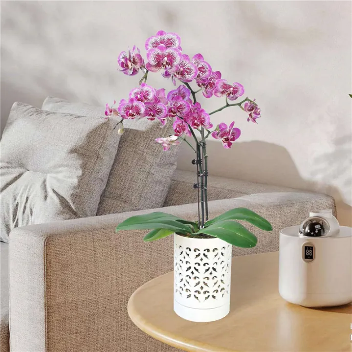 ZOROOM%202X%20Orchid%20Pots%20with%20Holes,4%20Inch%20Ceramic%20Orchid%20Pot%20for%20Repotting,%20Flower%20Planter%20Pot%20Indoor%20Outdoor,%20Breathable%20White%20-%20Image%207