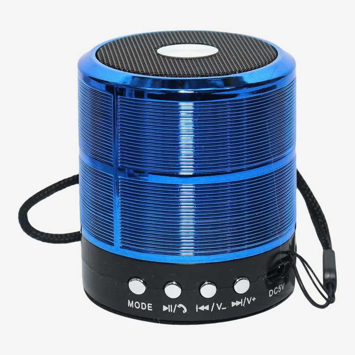 Mini Bluetooth Speaker WS 887 TF USB FM AUX | Daraz.com.np
