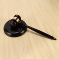 NAMUNY 2X Wooden Judge'S Gavel Auction Hammer with Sound Block for Attorney Judge Auction Handwork. 