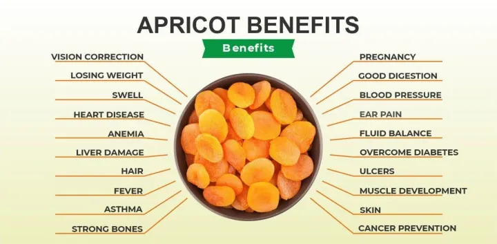 Dry%20Apricot%20/%20Khurbani%20/%20Khurpani%20/%20Jardalu%20/%20Khumani%20/%20Khubani%20Dry%20Fruit%20-%20%20250%20Gm%20-%20Image%204