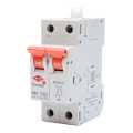 White HPL Techno 32A DP MCB. 