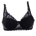 bra lingerie sheer b bra lace padded underwires Sales promotion ladies miniimizer no bra cup push-ups. 