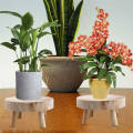 Mini Wooden Stool Display Plant Stand Decorative Wood Plant Stool Bonsai Holder for Indoor Outdoor Home Garden A. 