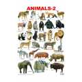 Dreamland Animals-2 Educational Wall Chart. 