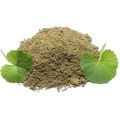 Ghodtapre ( Brahmi ) Powder 100 GM. 