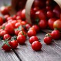 Candyland Red Cherry Tomato Seeds 5 Plus (Loose Pack). 