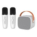 Multifunction Portable Mini Bluetooth Speaker Stereo Surround Subwoofer Wireless Dual Microphones Karaoke Machine K Song Karaoke Speaker For Kid. 