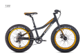 Trinx Tiger 100 Fat Bike for Kids. 