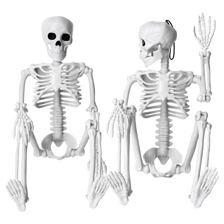 2Pcs Skeleton Halloween Decoration, 16 Inch Full Body Posable Halloween ...
