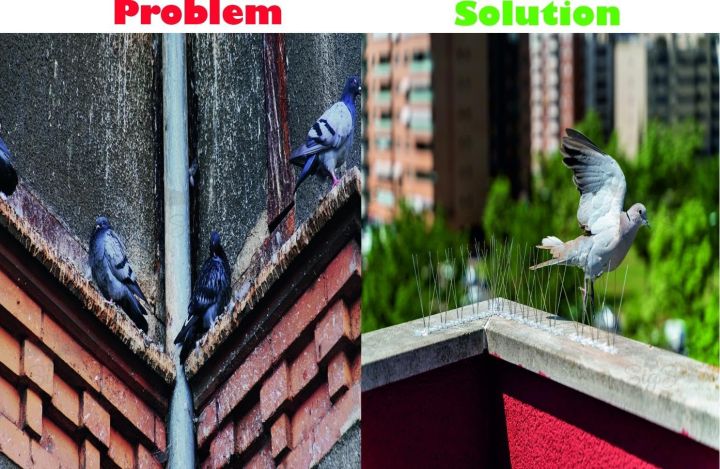Anti%20Bird%20Spike%2064cm%2080%20Spikes%20Bird%20spikes%20Pigeon%20Repellent%20Pest%20Control%20System%20-%20Image%206