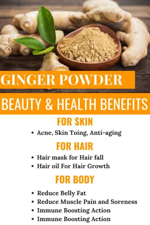 Ginger%20Powder%20-%20Aromatic%20Dried%20Ginger%20Powder%20-100%20gm%20-%20Image%203