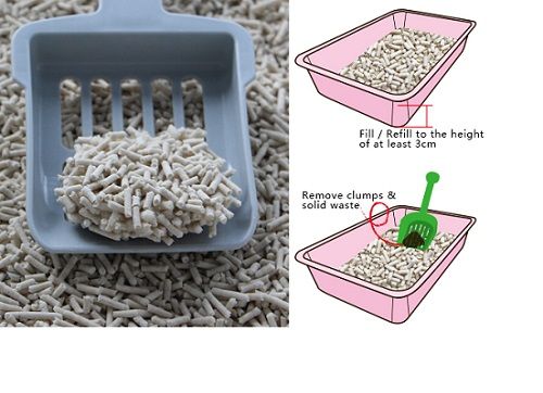Tofu%20Natural%20Clumping%20Cat%20Litter-6L%20-%20Image%204