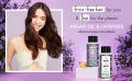 Love Beauty & Planet Anti Frizz Combo Argan Oil & Lavender Smooth & Serene Shampoo and Conditioner 200ml. 