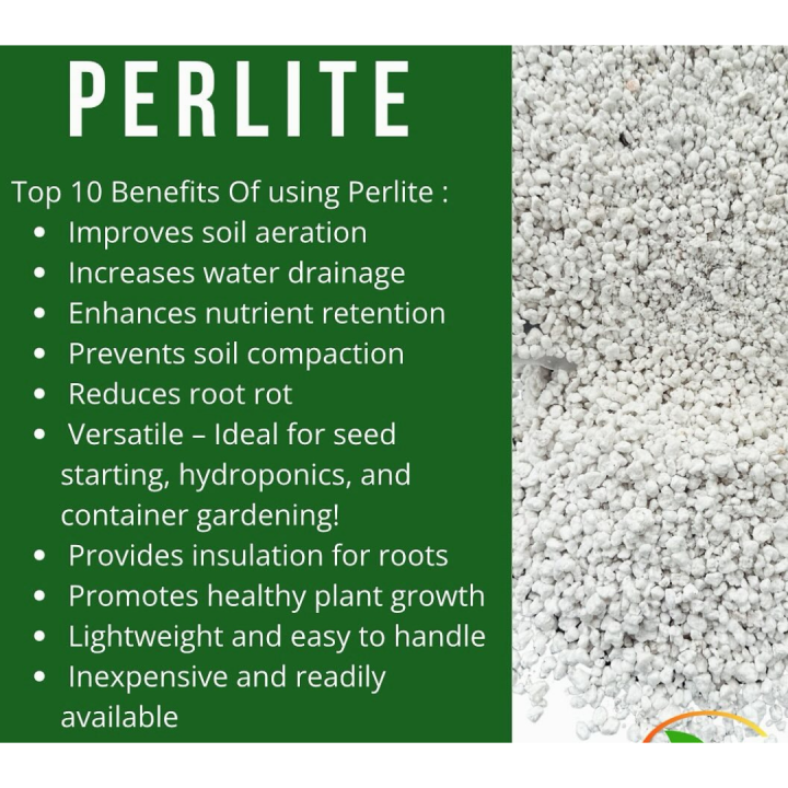 Premium%20Perlite%201%20kg%20%7C%20Lightweight%20Soil%20Aerator%20-%20Image%203