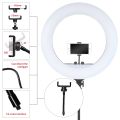 Ring Light with 7 Fit Tripod RL-21. 