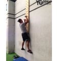 Crossfit Wall Mounted Climbing Fitness Pegboard 4ft. 