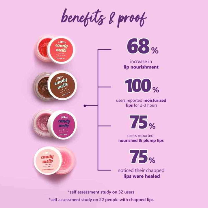 Plum%20Goodness%20Candy%20Melts%20Vegan%20Lip%20Balm%20Berry%20Feast%2012Gm%20-%20Image%207