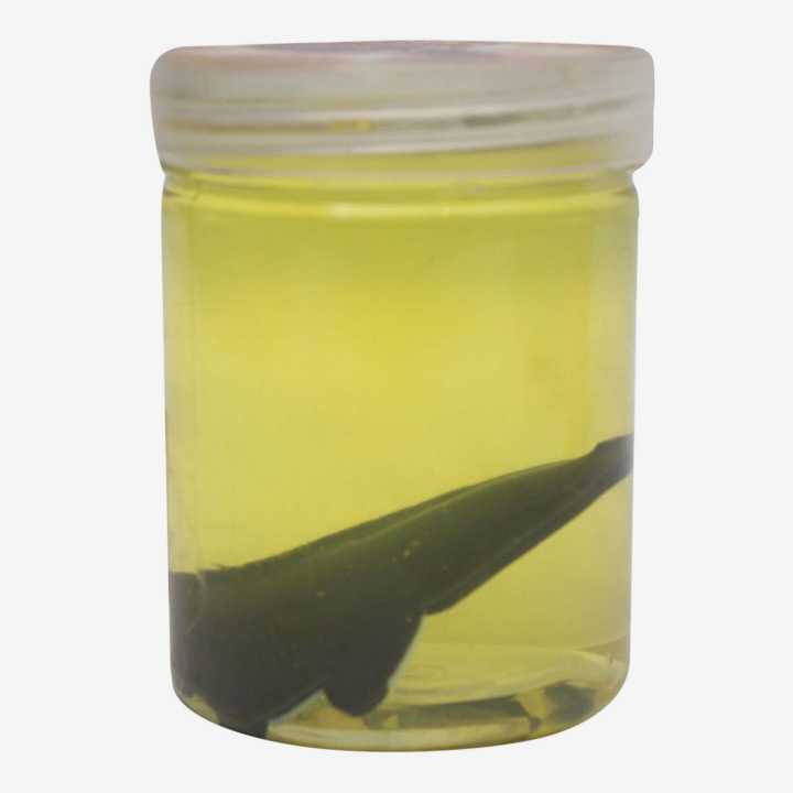 Light%20Green%20Slime%20-%20Image%204