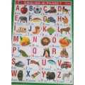 English Alphabets & Rhymes Chart / ABCD  Chart 12" x 24 "By Mitrata. 