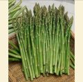 Asparagus Seeds 30+Seeds Imported Kurilo Seeds For Garden. 