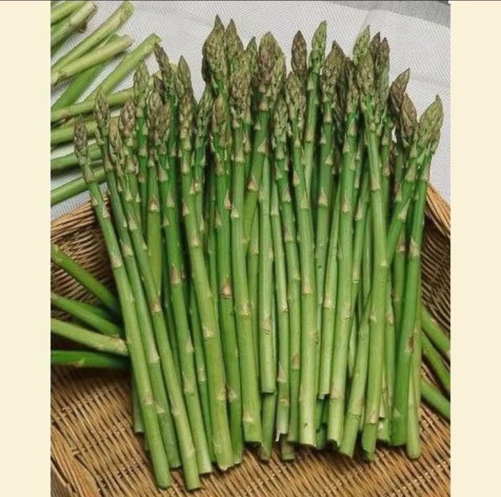 Asparagus%20Seeds%2030+Seeds%20Imported%20Kurilo%20Seeds%20For%20Garden%20-%20Image%202