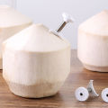 Kitchen accessories Stainless Steel Coconut Hole Opener Labor-Saving Opening Tool Shell Opening Drill Bit Fruit Shop Utility Tool JUE. 