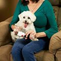 PawPerfect Rechargeable Pet Nail and Claw Rotating File with 5000-7,000 RPM's for Dogs, Cats, and Other Small Animals. 