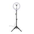 26Cm Led Ring Light With 7Ft Tripod Stand. 