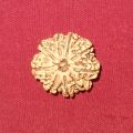 9 Mukhi Rudraksha Nepali Beads. 