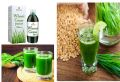 Wheat Grass Juice-1000Ml. 