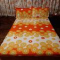 Fresh Pattern Bed Sheet With Pillow Cases. 